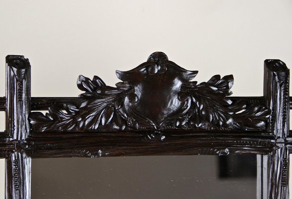 Black Forest Wall Mirror with Coat of Arms Carving, Austria, 1870s-TQA-1321962