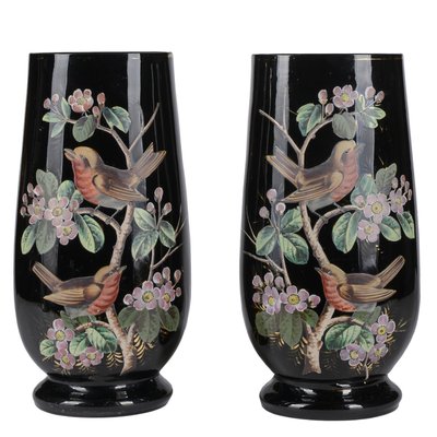 Black Opal Glass Jars with Hand-Painted Birds, France, 19th Century, Set of 2-RAQ-988201