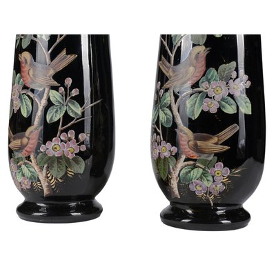 Black Opal Glass Jars with Hand-Painted Birds, France, 19th Century, Set of 2-RAQ-988201