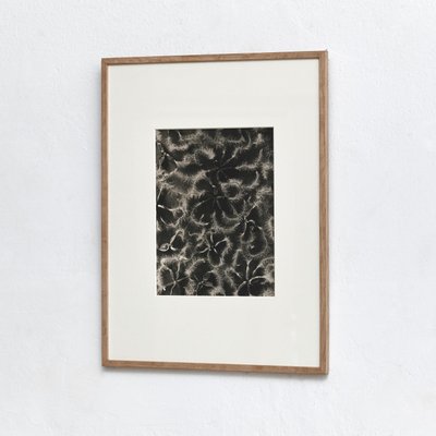 Black & White Flower Photogravure Botanic Photography by Karl Blossfeldt, 1942-WM-575568