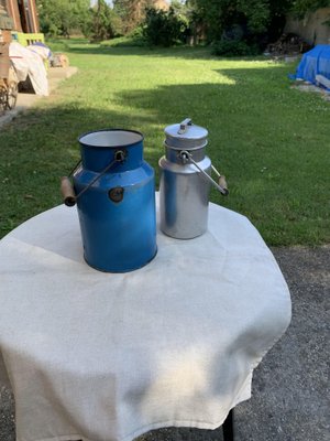 Blue and Aluminum Milk Cans, 1950s, Set of 2-OXJ-1730450