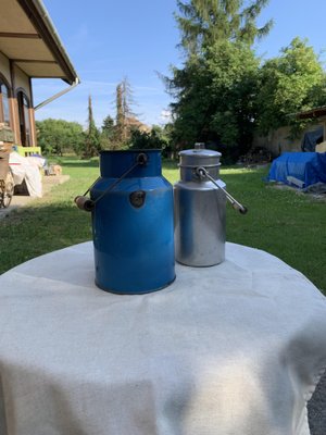 Blue and Aluminum Milk Cans, 1950s, Set of 2-OXJ-1730450