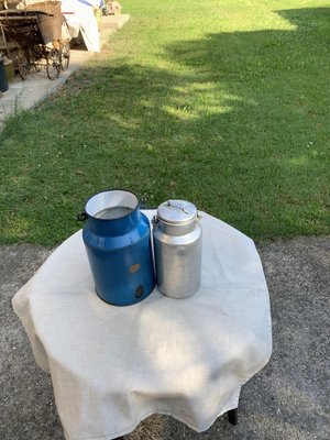 Blue and Aluminum Milk Cans, 1950s, Set of 2-OXJ-1730450