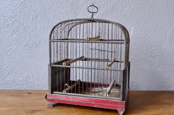 Bohemian Bird Cage-AIU-1021710