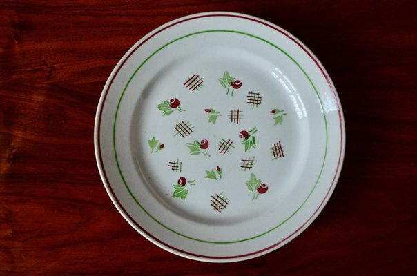 Bohemian Plates by Keller and Guerin Lunéville, 1950s, Set of 9-AIU-1742531