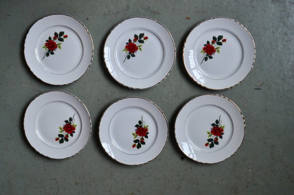 Bohemian Serving Plates, France, 1950, Set of 18-AIU-1440981