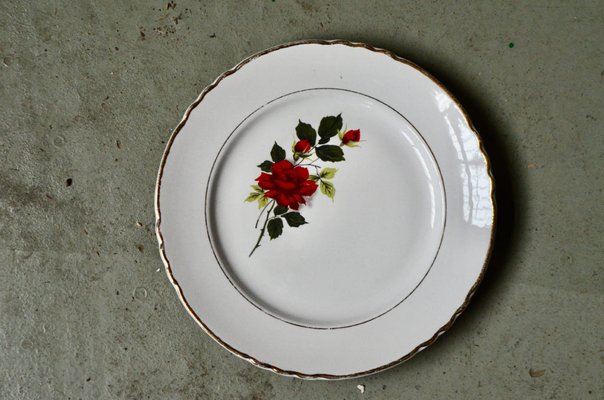 Bohemian Serving Plates, France, 1950, Set of 18-AIU-1440981