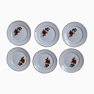 Bohemian Serving Plates, France, 1950, Set of 18-AIU-1440981