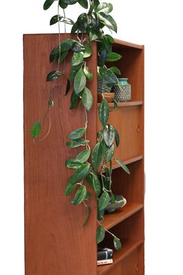 Bookshelf in Teak from CHR Larsen & Søn, Denmark, 1960s-BPJ-1757044