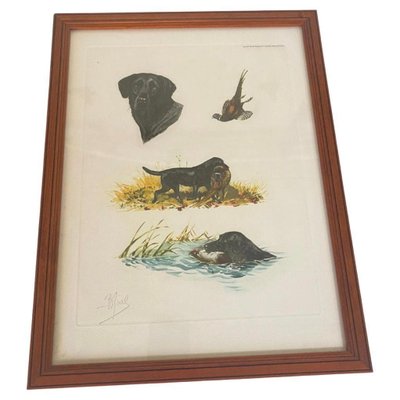 Boris Riabouchine, Hunting Scenes with Animals, 20th Century, Engraving in Color, Framed-UR-1759665