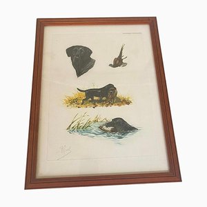 Boris Riabouchine, Hunting Scenes with Animals, 20th Century, Engraving in Color, Framed-UR-1759665