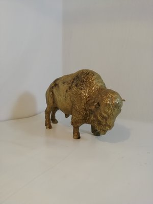 Brass Buffalo, 1950s-HNE-1135127