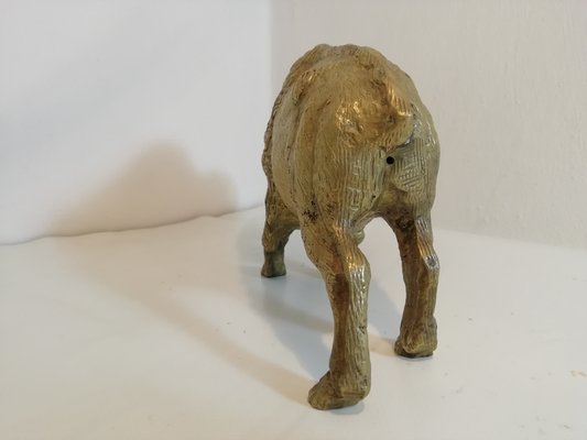 Brass Buffalo, 1950s-HNE-1135127