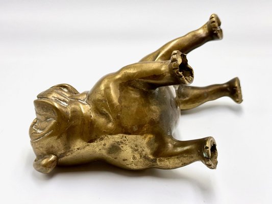 Brass Bulldog Paperweight or Statue, 1940s-ZCY-1779660