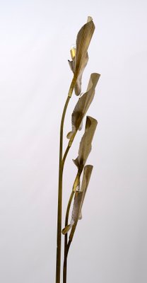 Brass Floor Lamp by Tommaso Barbi, 1970s-FER-992640