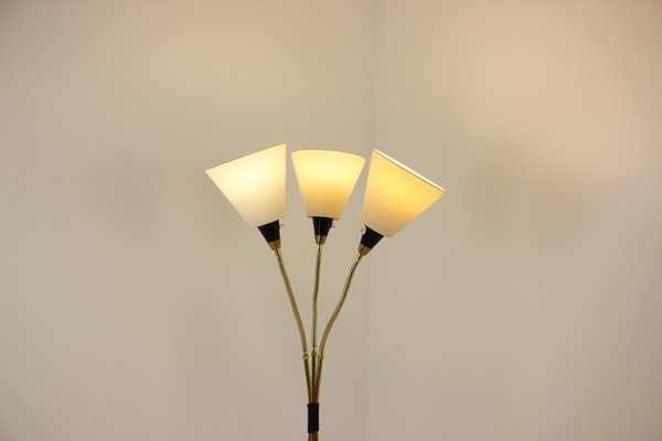 Brass Floor Lamp, Czechoslovakia, 1950s-TZ-1384757