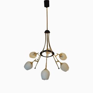 Brass Suspension Chandelier-TKR-1160999