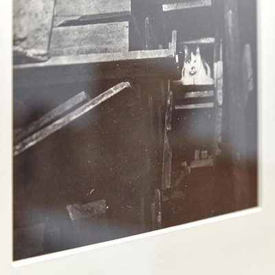 Brassaï, 1979, Black and White Photogravure-WM-1157698