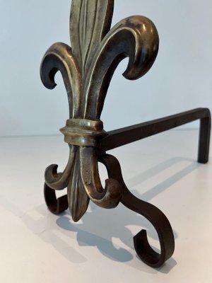 Bronze and Wrought Iron Lily Chenets, 1940s, Set of 2-BA-1784742