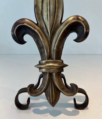 Bronze and Wrought Iron Lily Chenets, 1940s, Set of 2-BA-1784742