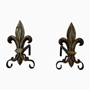 Bronze and Wrought Iron Lily Chenets, 1940s, Set of 2-BA-1784742