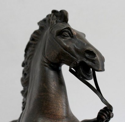 Bronze Cheval de Marly after G. Coustou, 19th Century-RVK-1029333