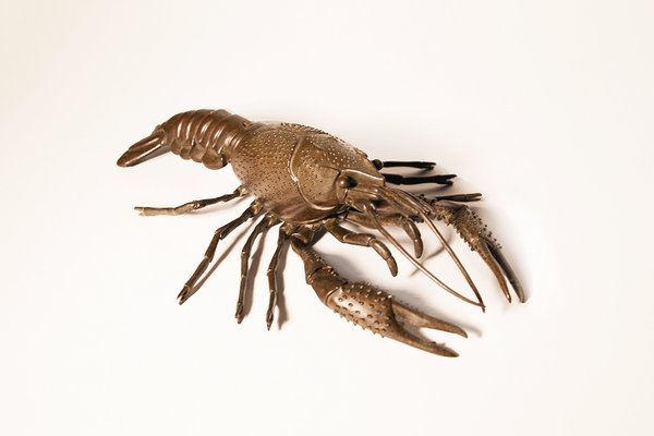 Bronze Crayfish Figurine, 1900s-MMH-1720157