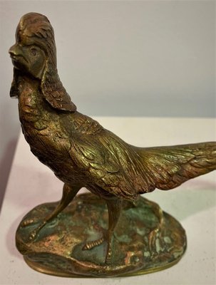 Bronze Figure of Pheasant, Vienna-IKW-843847