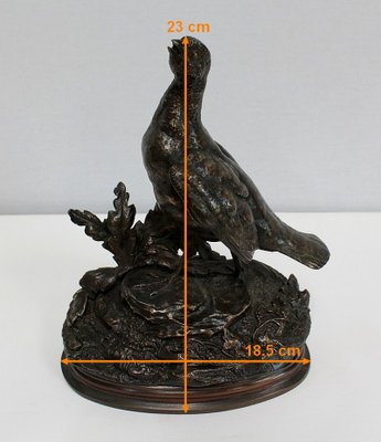 Bronze Partridge by J. Moignez, 19th Century-RVK-953921