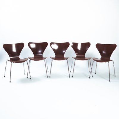 Brown Butterfly 3107 7 Series Chairs from Fritz Hansen, 1960s, Set of 5-NQU-1368556