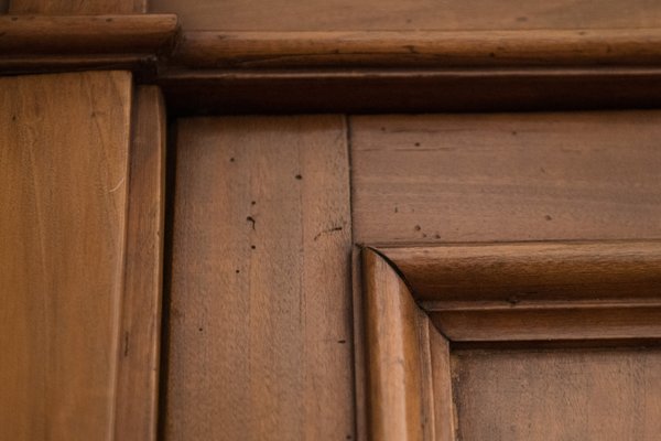 Brown Chestnut Wardrobe, 1890s-NZV-2008422