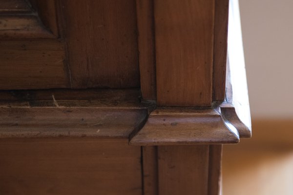 Brown Chestnut Wardrobe, 1890s-NZV-2008422