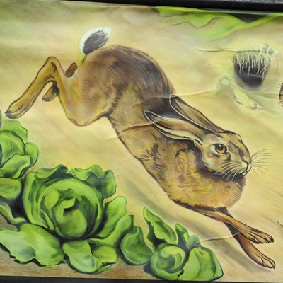 Brown Hare Common Rabbit Wall Chart Poster by Jung Koch Quentell-KJP-1149390