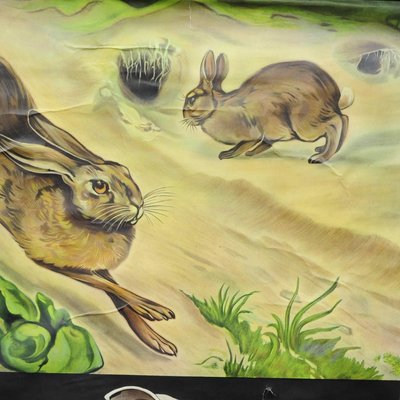 Brown Hare Common Rabbit Wall Chart Poster by Jung Koch Quentell-KJP-1149390