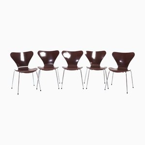 Brown Stackable Butterfly 7 Series 3107 Chairs by Arne Jacobsen for Fritz Hansen, Set of 5-NQU-1367089