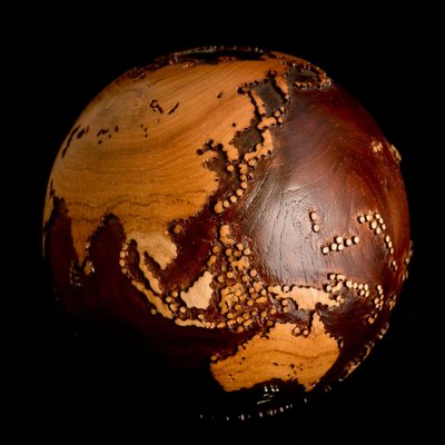 Bruno Helgen, Voyage, Walnut-MDB-1805078