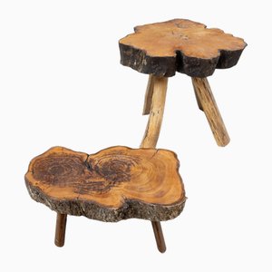 Brutalist Elm Coffee Table Set, 1960, Set of 2-RB-1765158