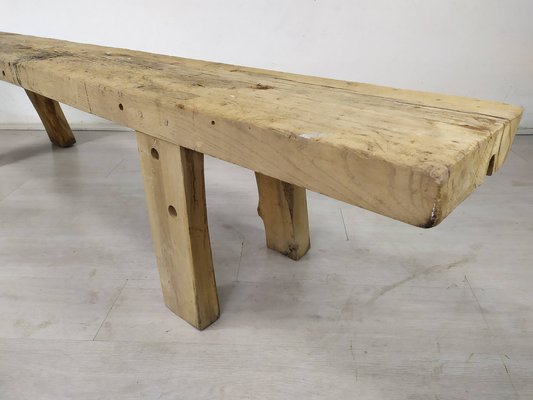 Brutalist Established Bench-EAD-1338423