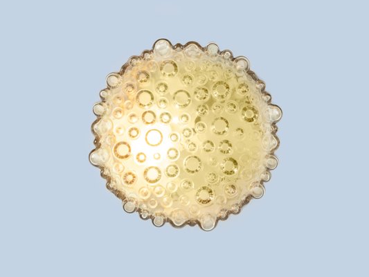 Bubble Glass Ceiling Lamp from Glashütte Limburg, 1960s-GPP-742197