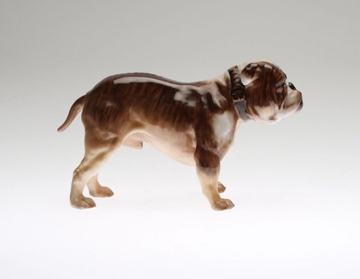 Bulldog from Royal Doulton-WMV-1127608