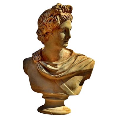 Bust of Apollo Pitico Belvedere, Early 1900s, Terracotta-FDW-2023347