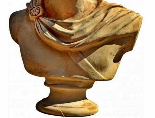 Bust of Apollo Pitico Belvedere, Early 1900s, Terracotta-FDW-2023347