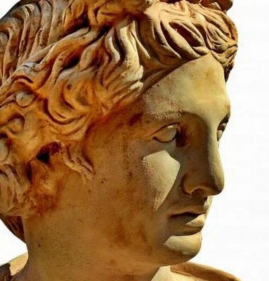 Bust of Apollo Pitico Belvedere, Early 1900s, Terracotta-FDW-2023347