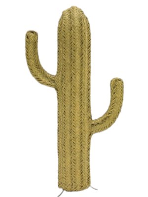 Cactus in Esparto Grass-TCS-1284156