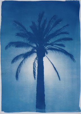 Cairo Citadel Palm, 2021, Cyanotype on Paper-RWC-1158240