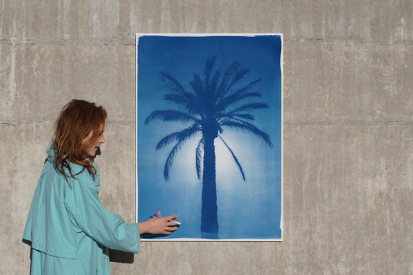 Cairo Citadel Palm, 2021, Cyanotype on Paper-RWC-1158240