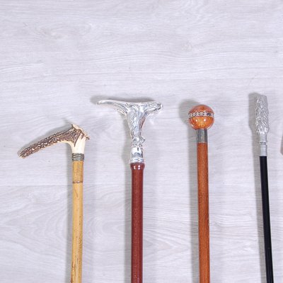 Cane Holder with Canes, 1990s, Set of 7-XSG-1768775