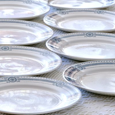 Carina Iron Earth Collection Plates from Sarreguemines, 1920s, Set of 8-SHG-2035697