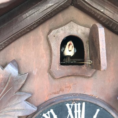 Carved Large Cuckoo Clock with Birds, 1940s-WQQ-1315090