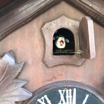 Carved Large Cuckoo Clock with Birds, 1940s-WQQ-1315090